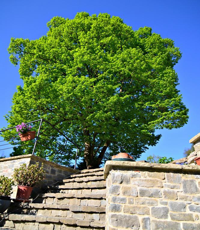 Cascina Il Convivio Guest House Diano d'Alba Bagian luar foto