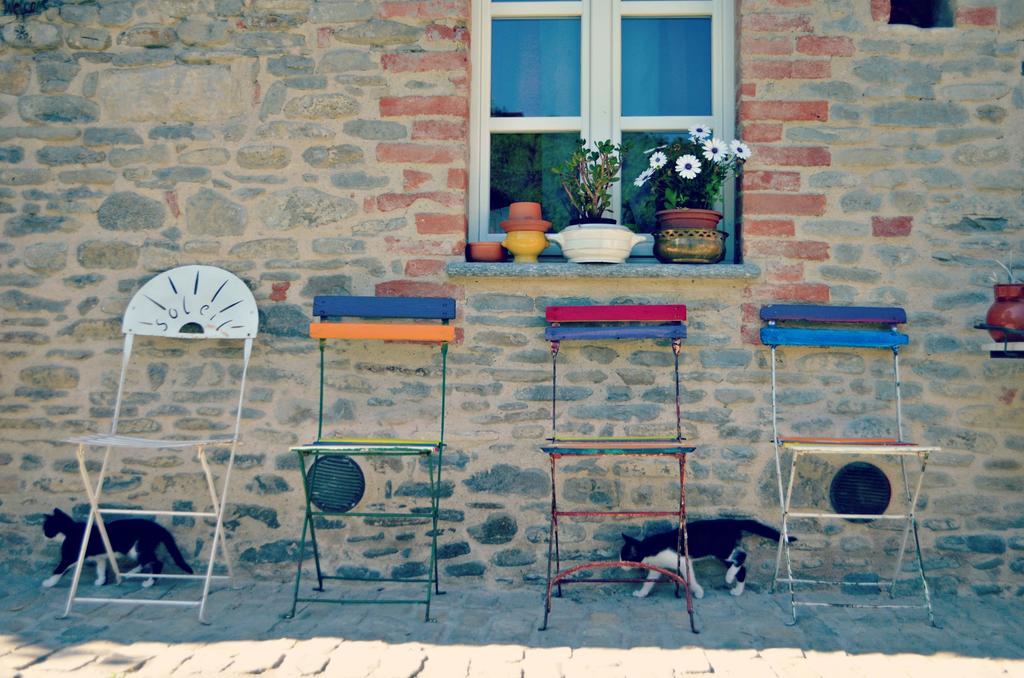 Cascina Il Convivio Guest House Diano d'Alba Bagian luar foto